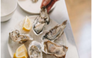 Dégustation d’huîtres