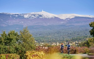 Séjour Route/VTT en région du Mont Ventoux « Sault »
